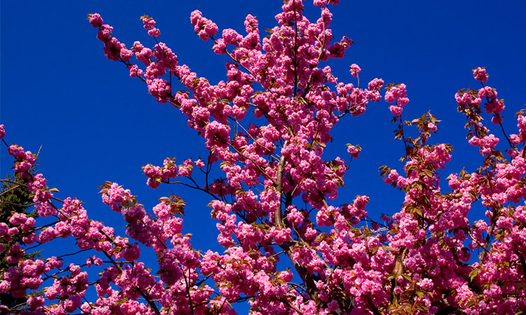 Der Frühling kommt und damit die Lust am Exhibitionismus