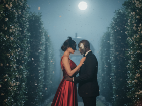 Mein_heißes_Abenteuer_auf_dem_Maskenball_Erotische_Sexgeschichte_Frau_und_Mann_im_Mondlicht